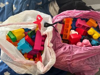 Mega Blox with truck