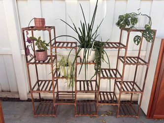 Plant Stand And 5 Potted Houseplants