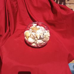 Bowl Of Shells