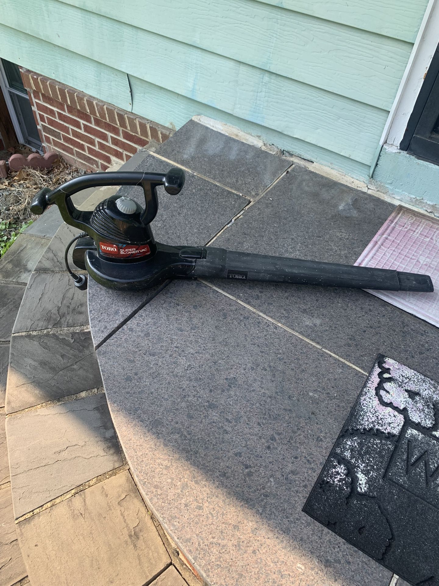 Electric Toro Leaf Blower Tested