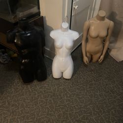 Mannequin Upper Bodies All For 50