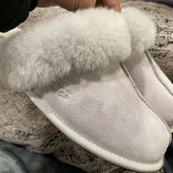 Brand New Ugg Slippers 