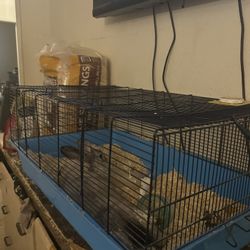 Rabbit Cage Or Him 