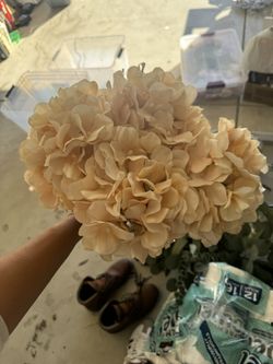Fake Flowers