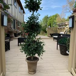 Very  Gorgeous Artificial plant