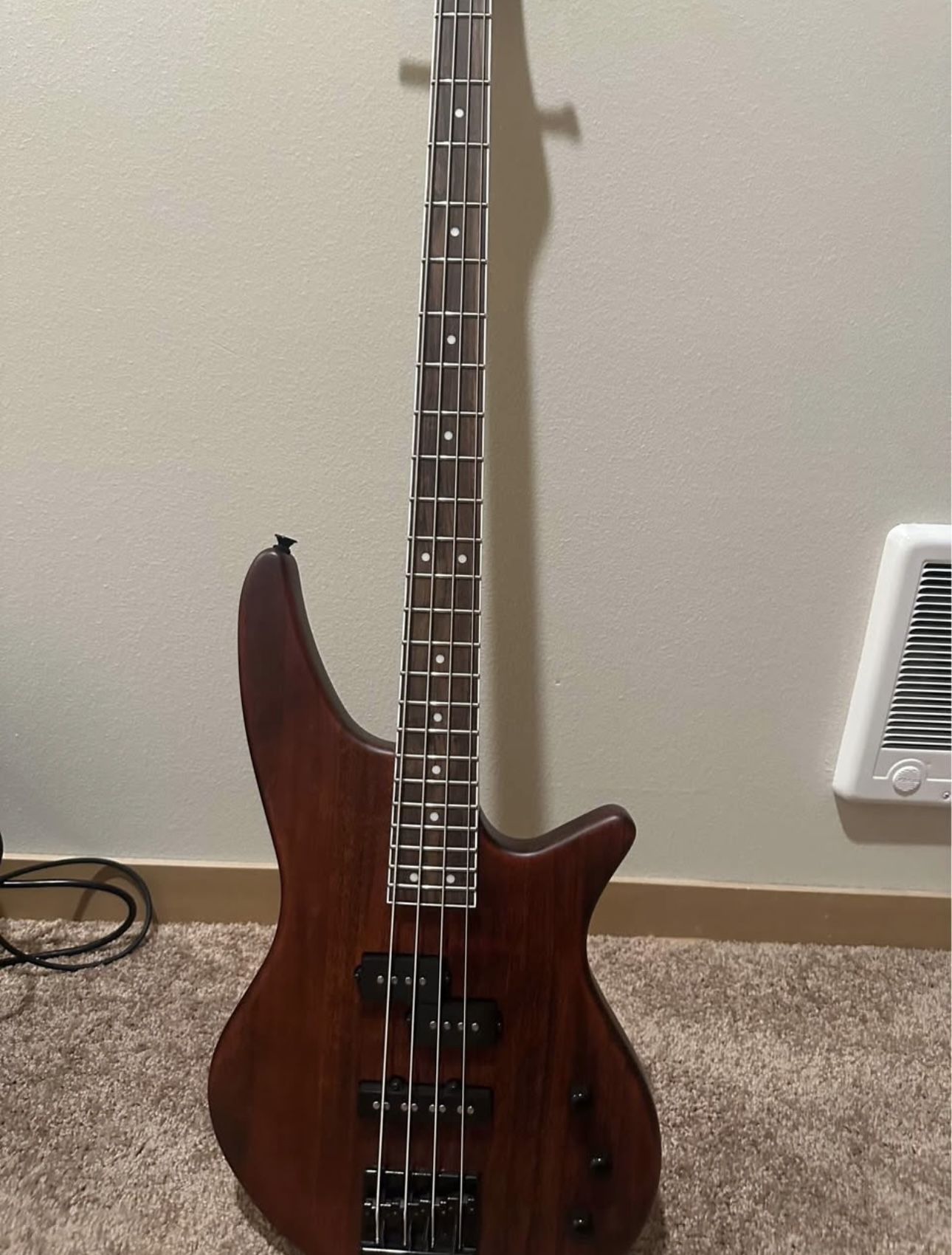 Jackson Bass Guitar And Amp
