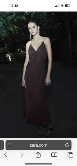 Zara dress