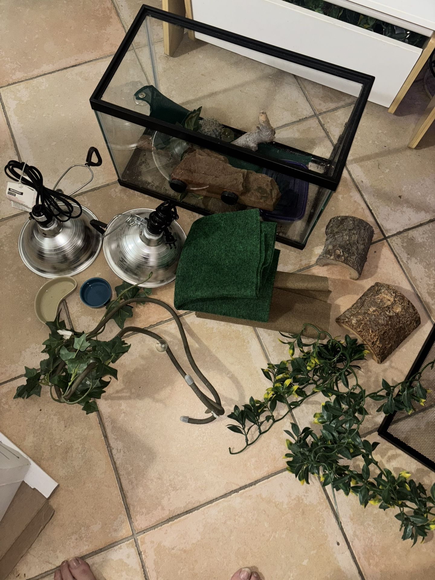10 Gallon Tank With Reptile Accessories