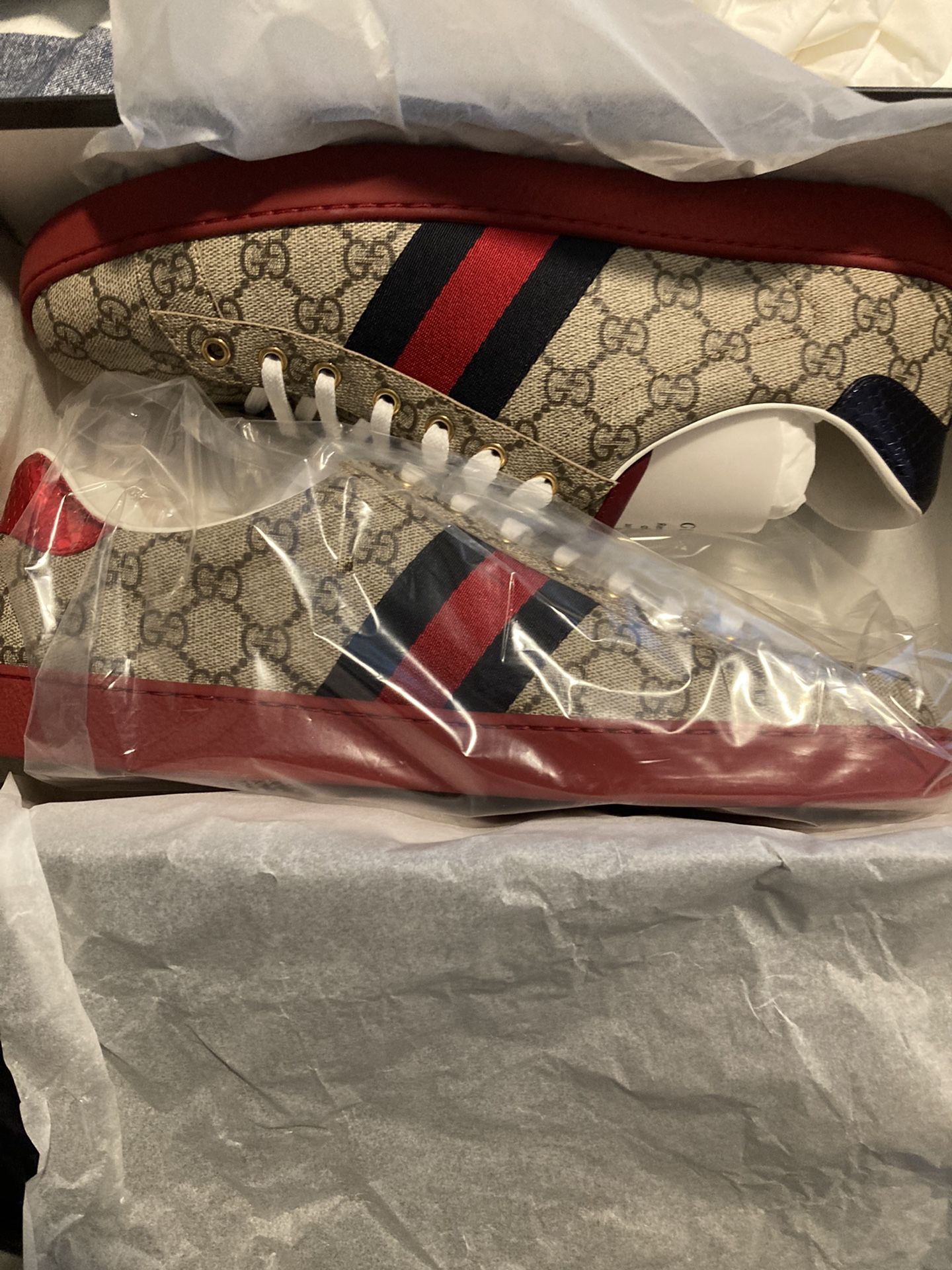 Gucci Size 13/ Or 47