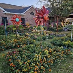 SECOND NEW SHIPMENT ARRIVE MARCH 2026 Beautiful and Healthy HANGING BASKETS PLANTS.