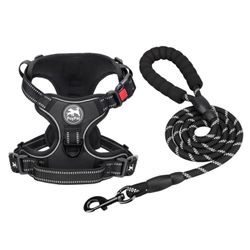 PoyPet Dog Harness And Leash Combo, Escape Proof No Pull Vest Harness, With 5 Feet Leash, Reflective