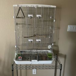 Bird Cage 
