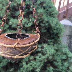 1/2 Coconut Shell Hanging Planter