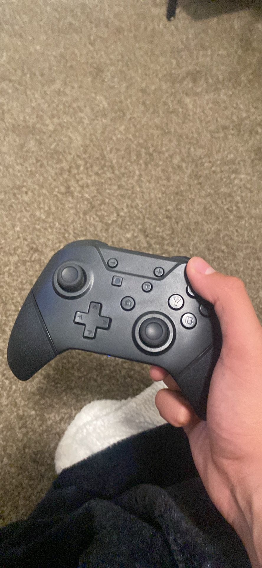 Nintendo Switch Pro Controller