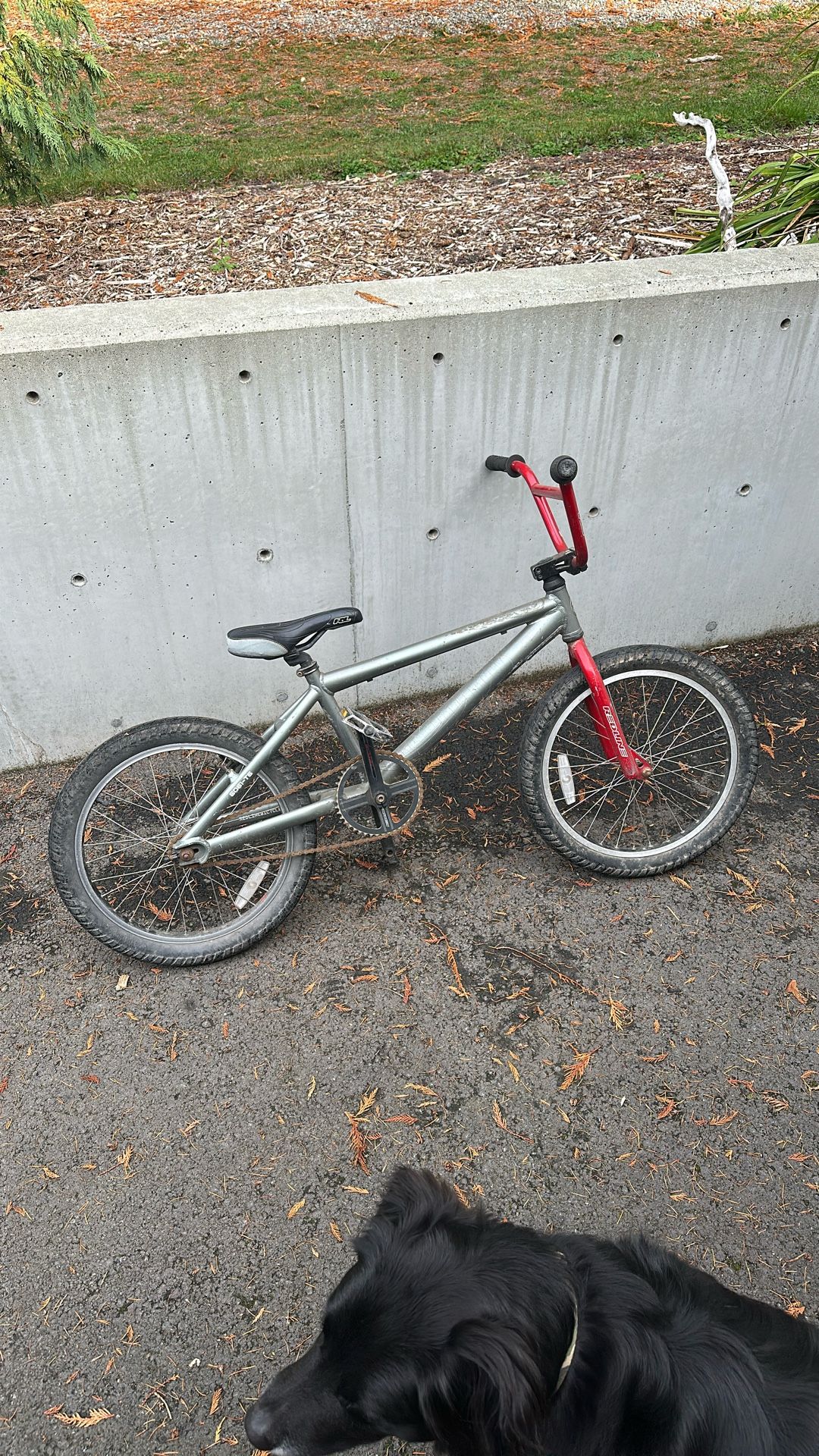 Redline BMX Bike 