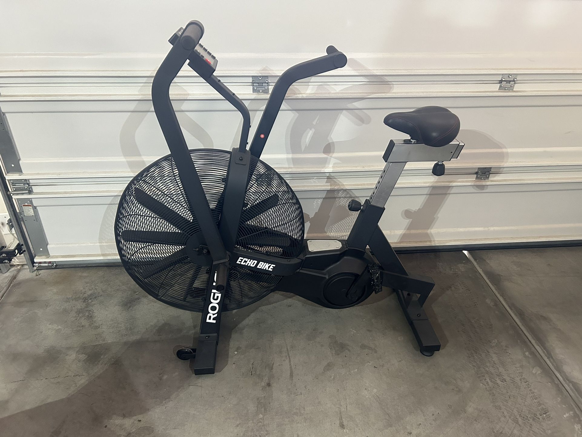Rogue Echo Bike