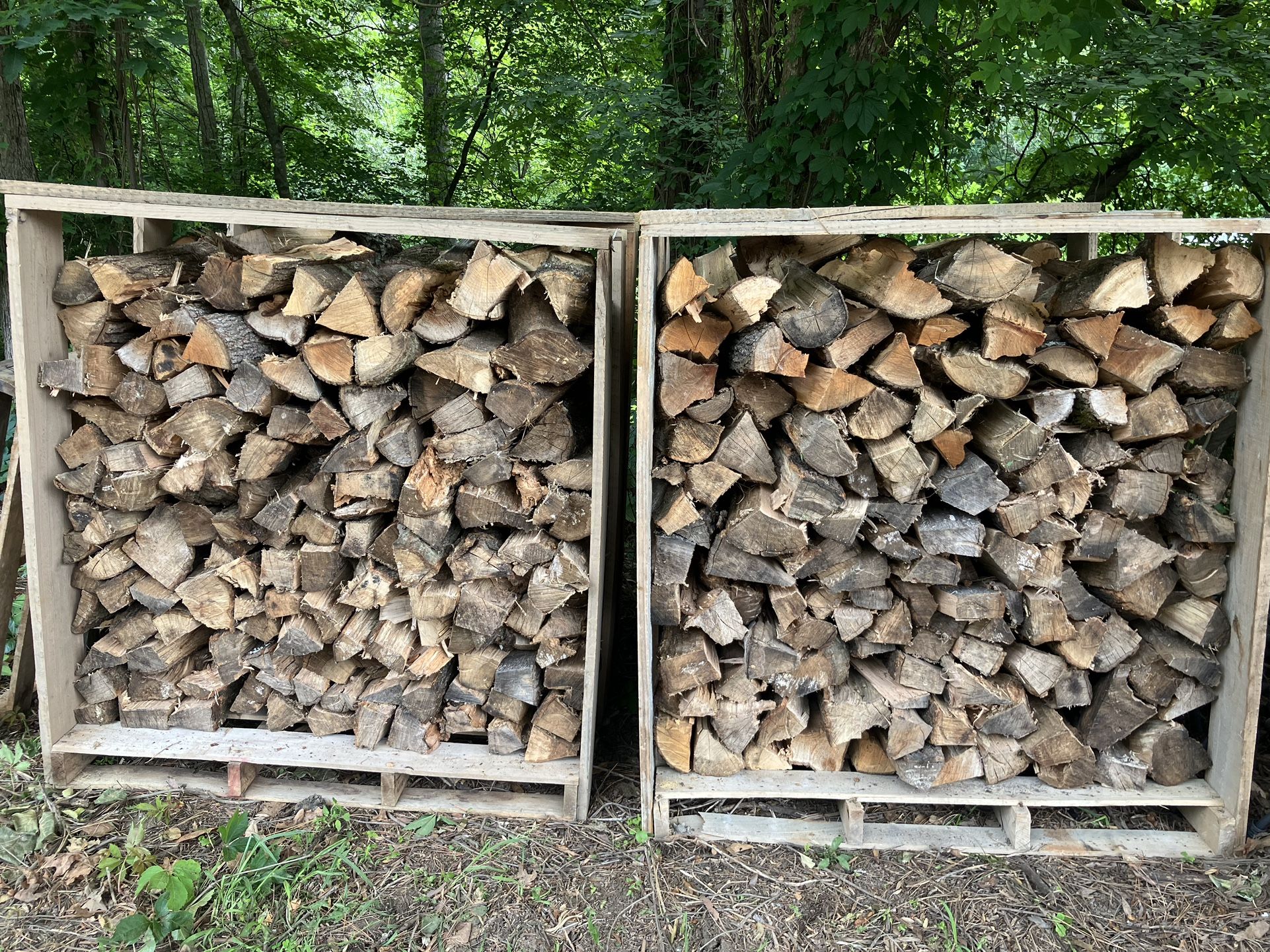 Seasoned Firewood