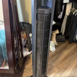 Fan 