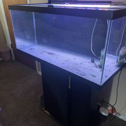 40 Gallon Fish Tank Holds Water 