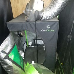 Cloning Tent 2 By 2 Good Condition 
