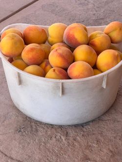 Peach durasnos π