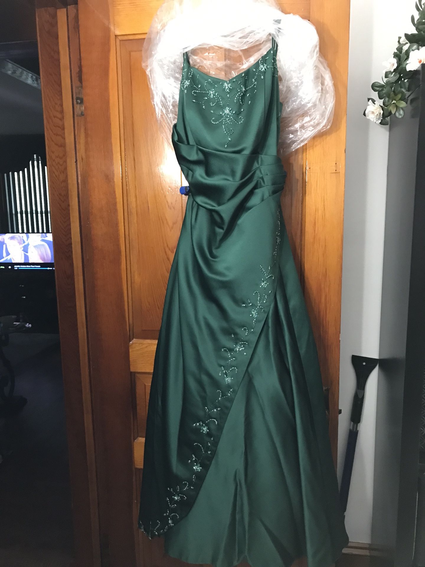Beautiful Prom/Bridesmaid Dress (Plus Size)