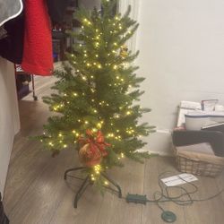 3 Ft Tall ‘Alberta Spruce’ Christmas Tree ( Prelit)