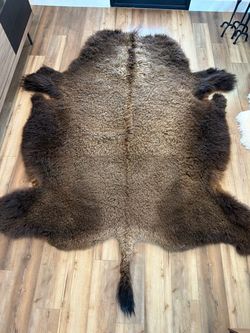 Bison Buffalo Hide