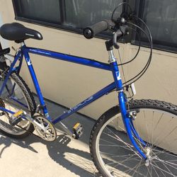Men’s Vintage Mountain Bike