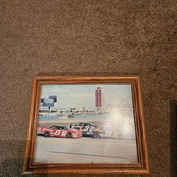 Nascar Collectable 