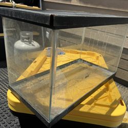 Fish Tank