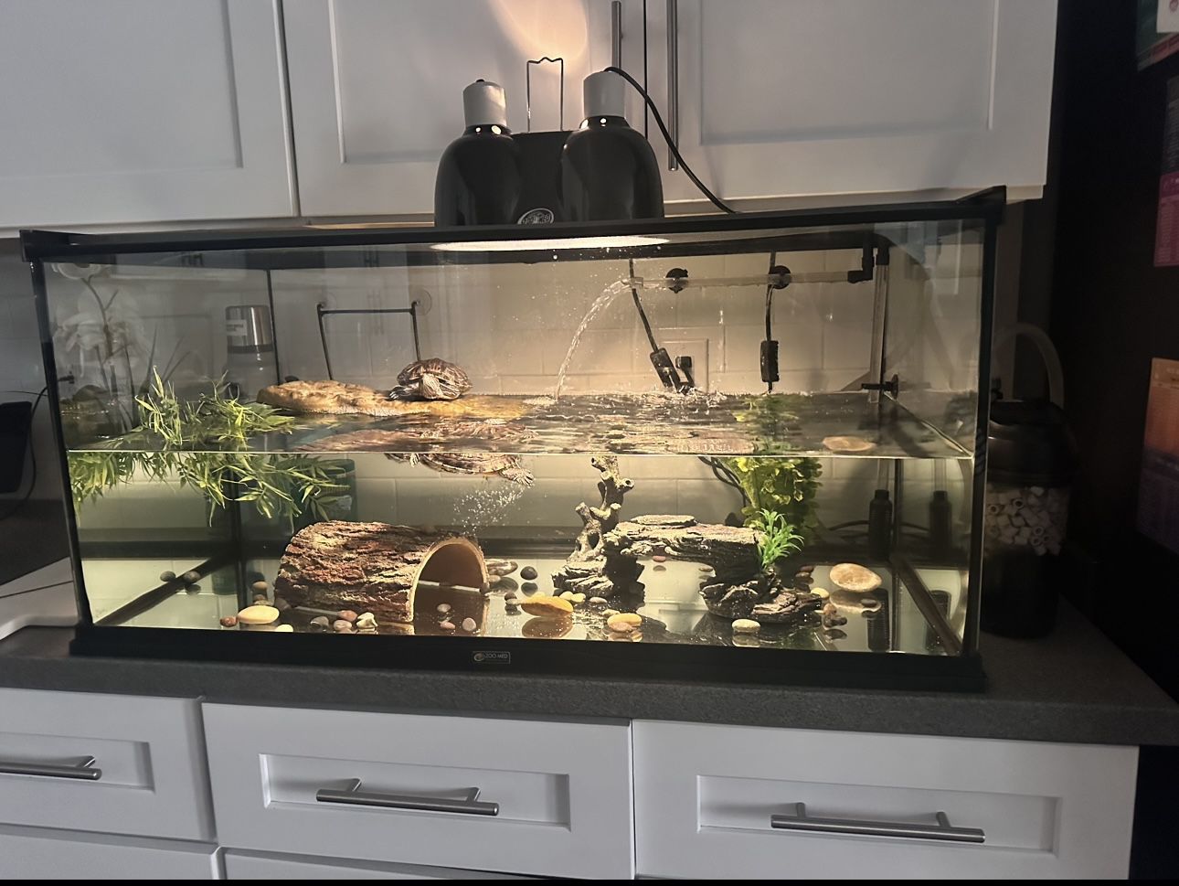 For Sale Turtle Tank 