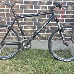 Specialized Stumpjumper 19"