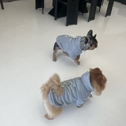 Dog Sweaters And Shirts