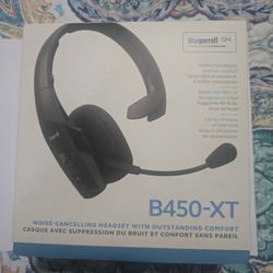 Blue Parrot B450-xt