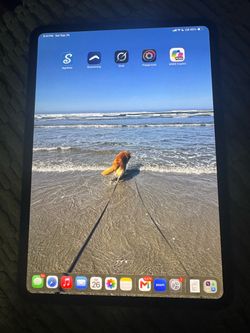 iPad Pro M4, 245 gb Gen 7