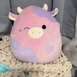 patty cow  squishmallow
