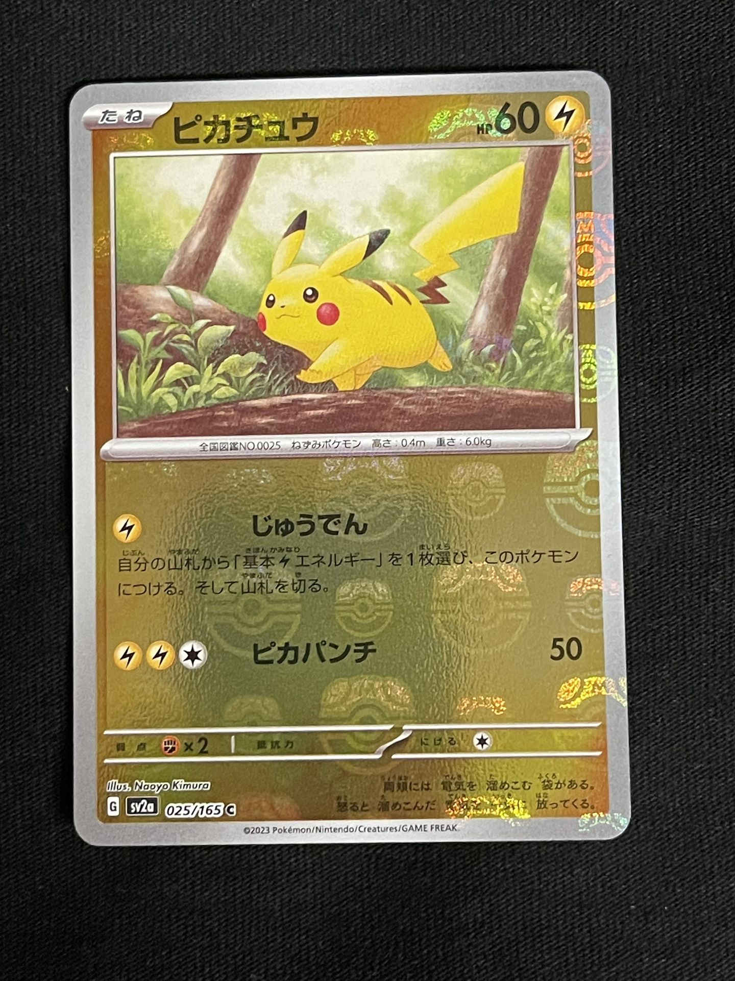 Pikachu Masterball 151