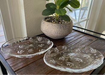 Set of 2 Clear Glass Serving Plates with Tulip Pattern