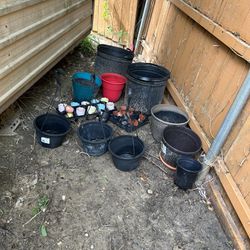 plastic pots for garden and very small glass pots all 20