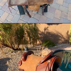 Saddle Oiling & Cleaning 