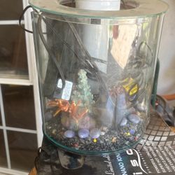 Fish Tank