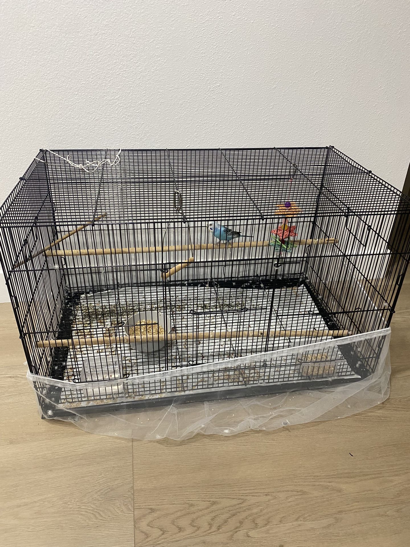 Large Bird Cage