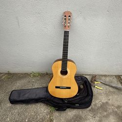Acoustic Guitar 🎸 Lelon Strings 