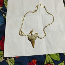 Shark Tooth Necklace 