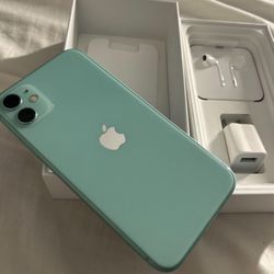 Apple IPhone 11 Teal Green Blue Unlocked w Screen Protector