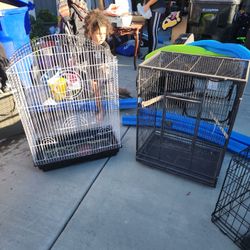 Bird Cages
