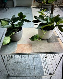 $1 Sale
