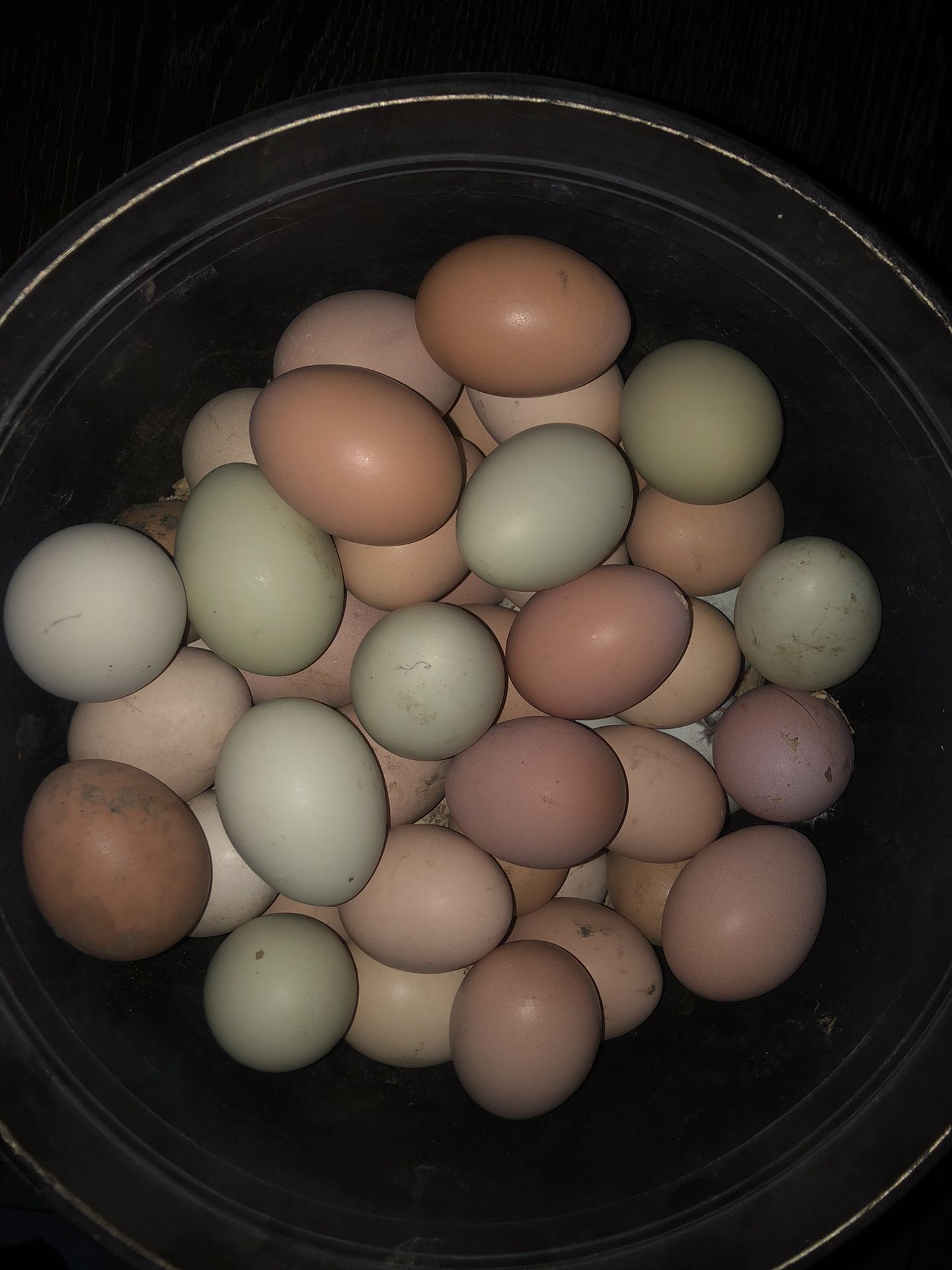 Organic Eggs From Happy Backyard Hens