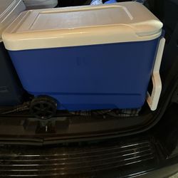 Cooler For Sale